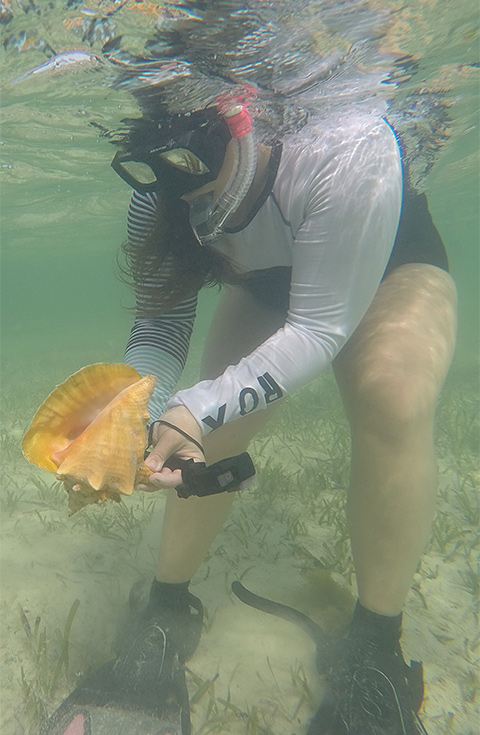 Students snorkeling at the Bahamas