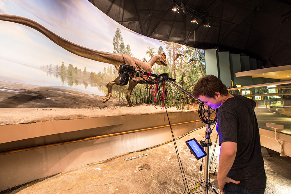 A student conducts research at Dinosaur State Park in Rocky Hill.