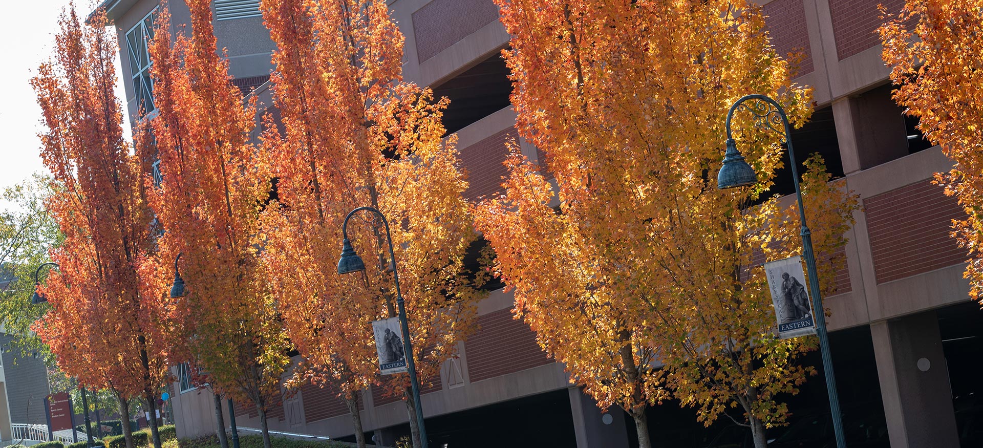 Autumn foliage in front of the Shakespeare parking lot