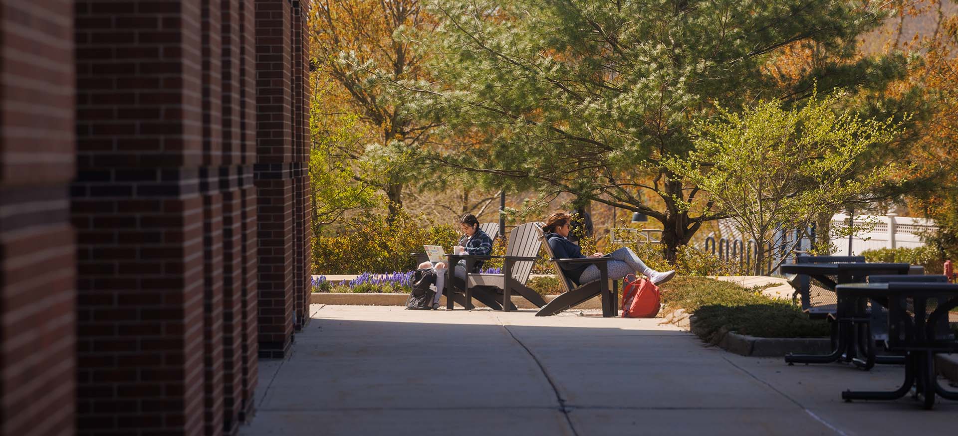 students sitting on chairs outside of the library