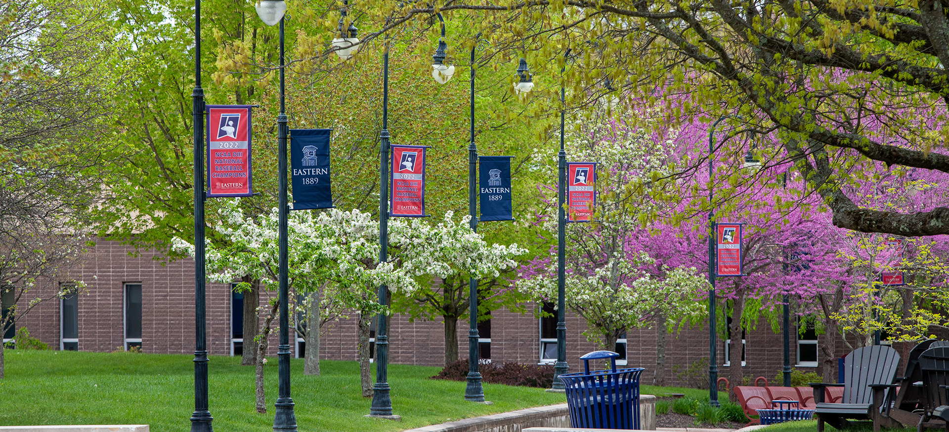 Eastern flags surrounded by flowering trees