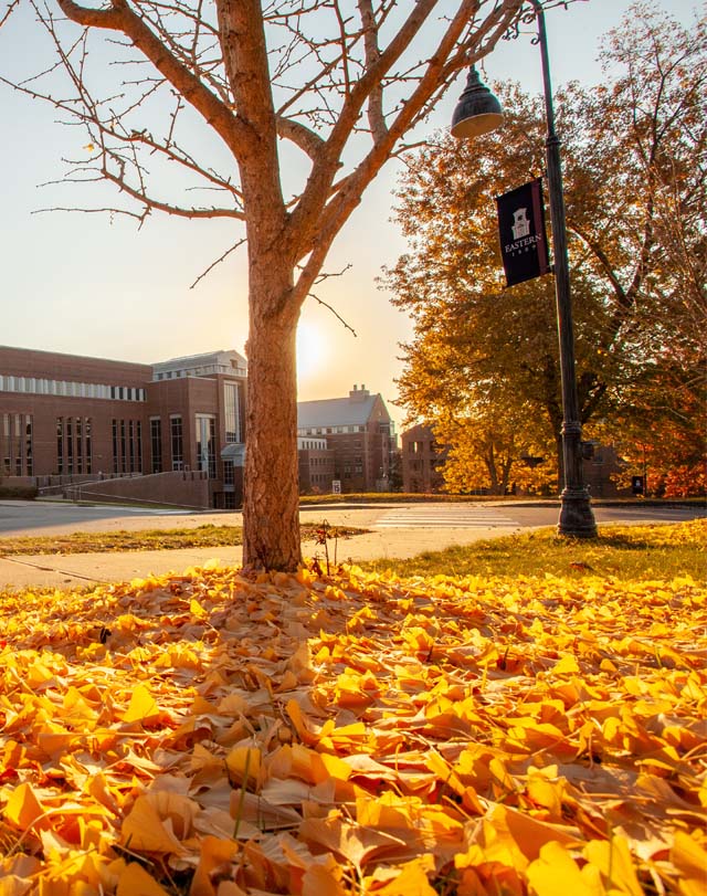 fall foliage with the clocktower in the background