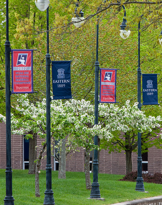Eastern flags surrounded by flowering trees