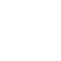 Office of Career Success