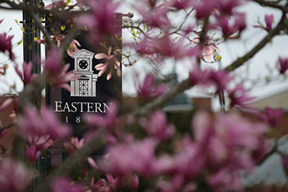 Decorative image of an Eastern banner through the trees