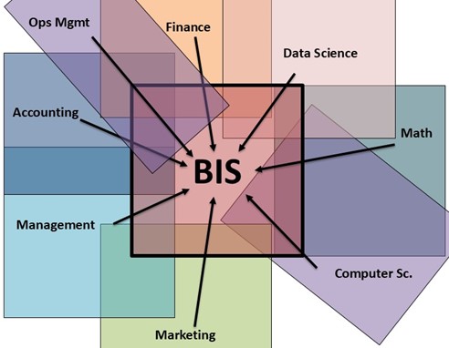 colored boxes with Ops Mgmt, Finance, Data Science, Math, CSC, Marketing, Management, Accounting text and arrows pointing to BIS in the center