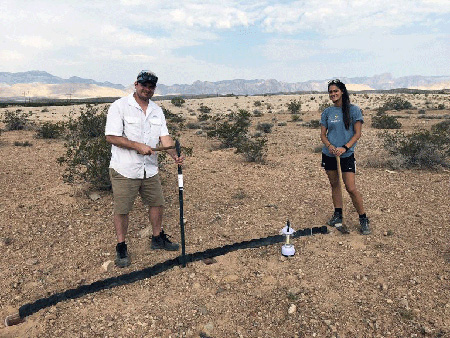 trapping-camel-spider