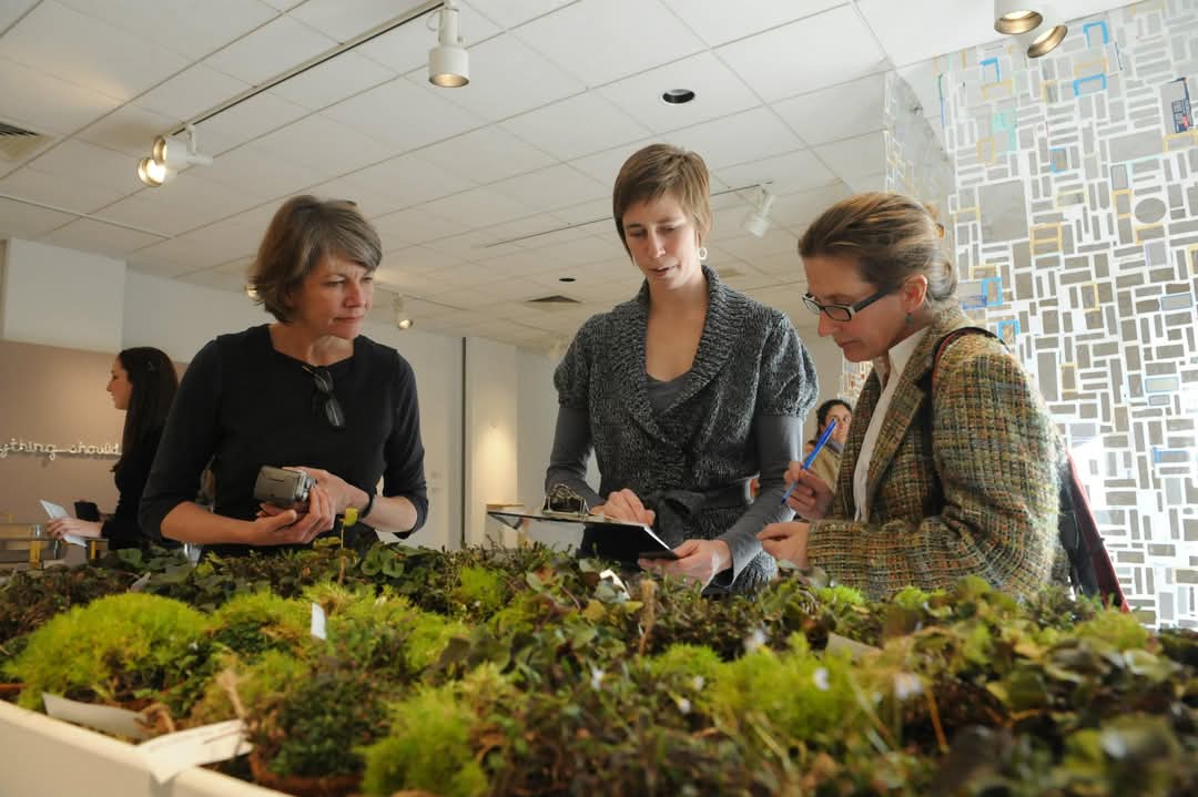 attendees at the opening of the green exhibition