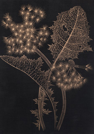 Margot Glass Grasses, 2019 Graphite on paper, 12 x 9 inches. Image courtesy of Garvey I Simon, New York, 2021.