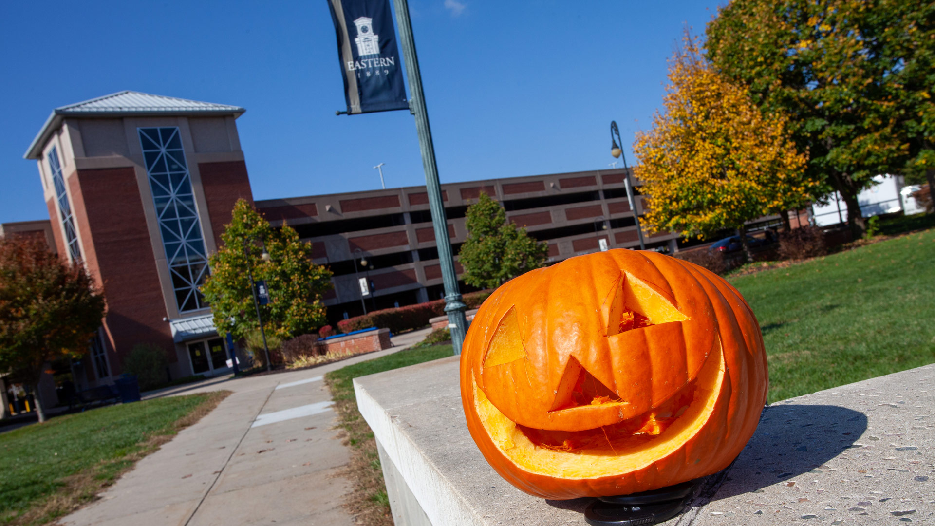 a carved pumpkin on campus