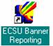 ecsu-banner-reporting ECSU Banner Reporting desktop icon