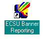 ECSU Banner Reporting desktop icon