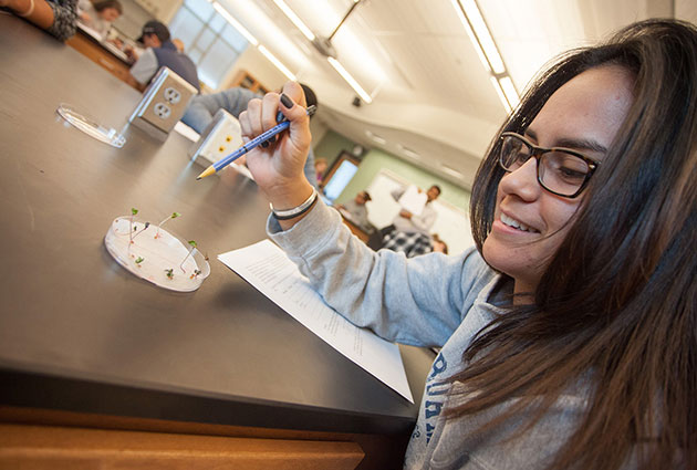 Student pointing at plants growing in a petri dish