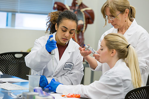 Students working in lab coats