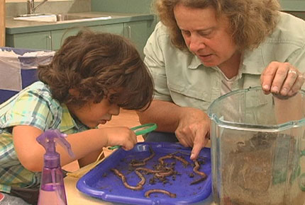 A preschooler inspects worms on a tray through a magnifying glass while his teacher points