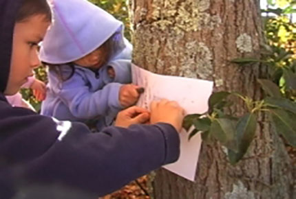 Two preschoolers do a bark rubbing by rubbing the sides of crayons over a sheet of paper placed against a tree trunk
