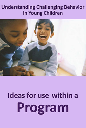 Cover of Ideas for Use within a Program