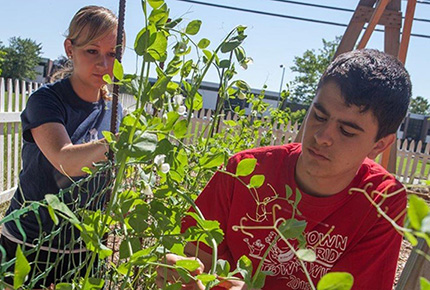 Students tending plants