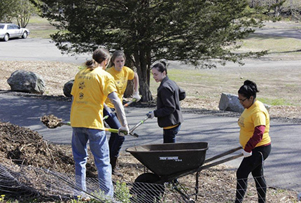 Students working outdoors
