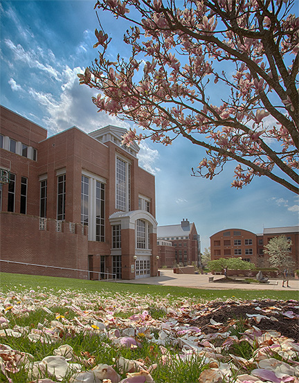 eastern campus flowers