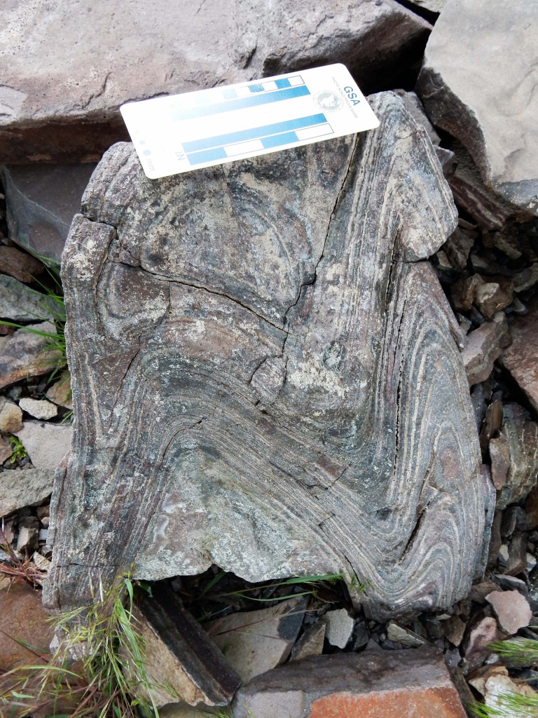 complex folds/refolds, Grey's Landing ignimbrite, Idaho