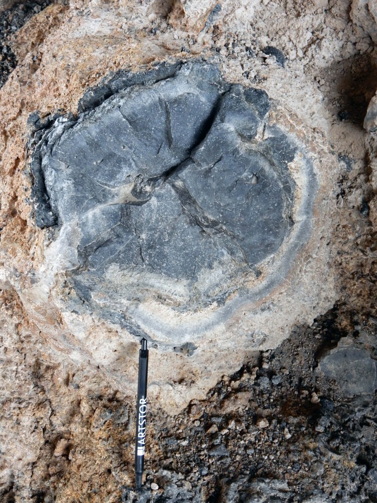 Cross-section of pillow lava, Twin Falls