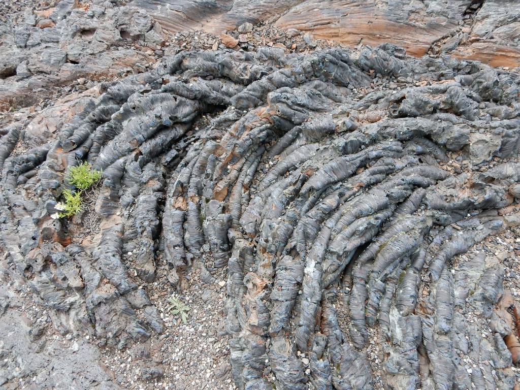 Pahoehoe ropey lava, Craters of the Moon N.M.