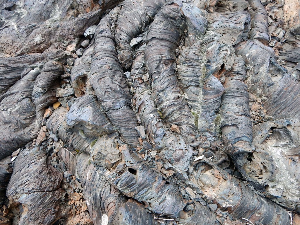 Pahoehoe texture close-up