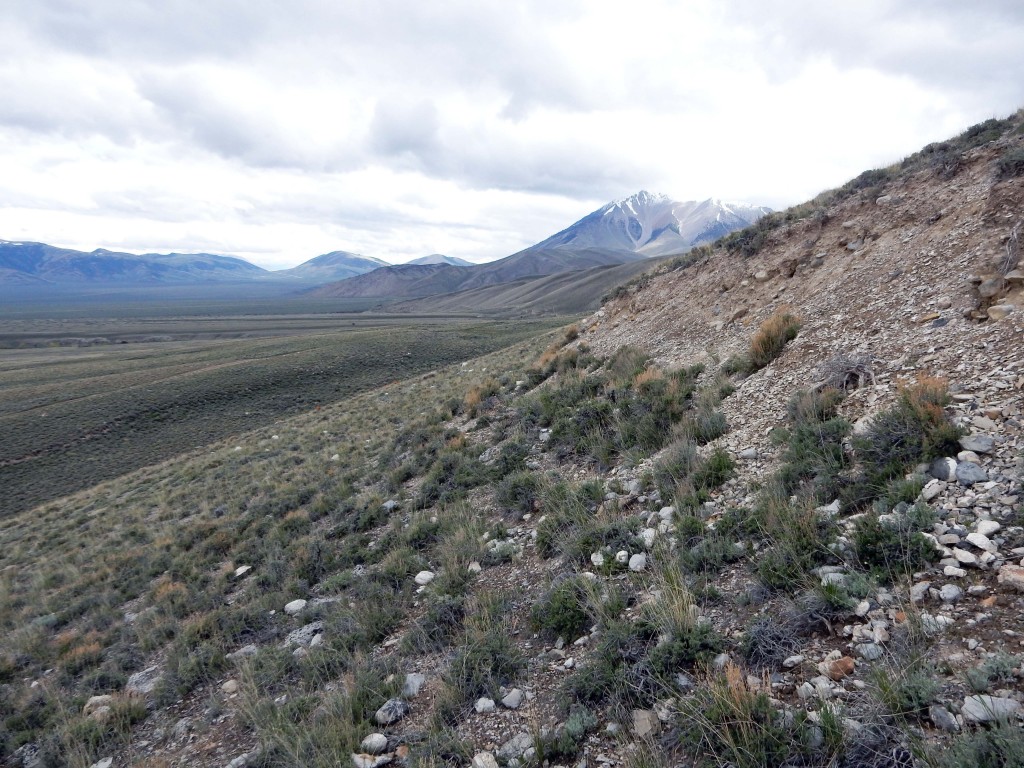 Borah Peak 1983 surface rupture