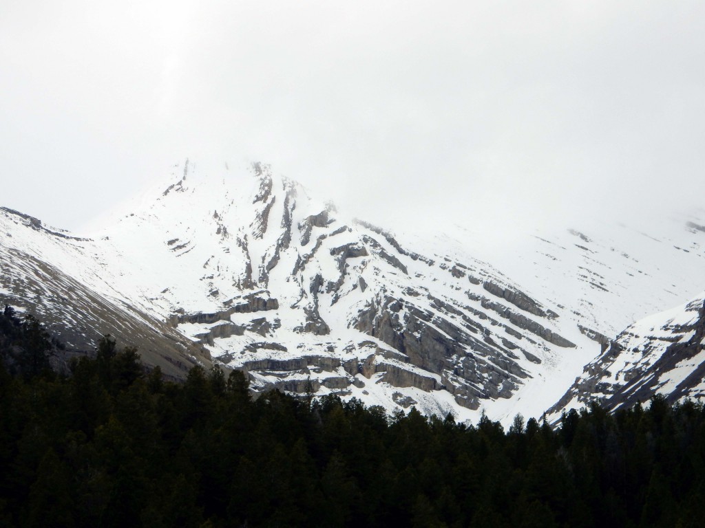 anticline in Lost River Range