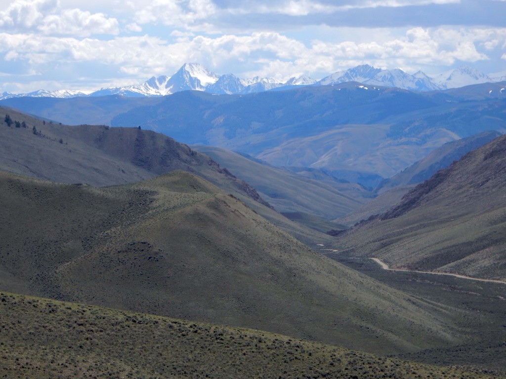 View to the Sawtooth Mts