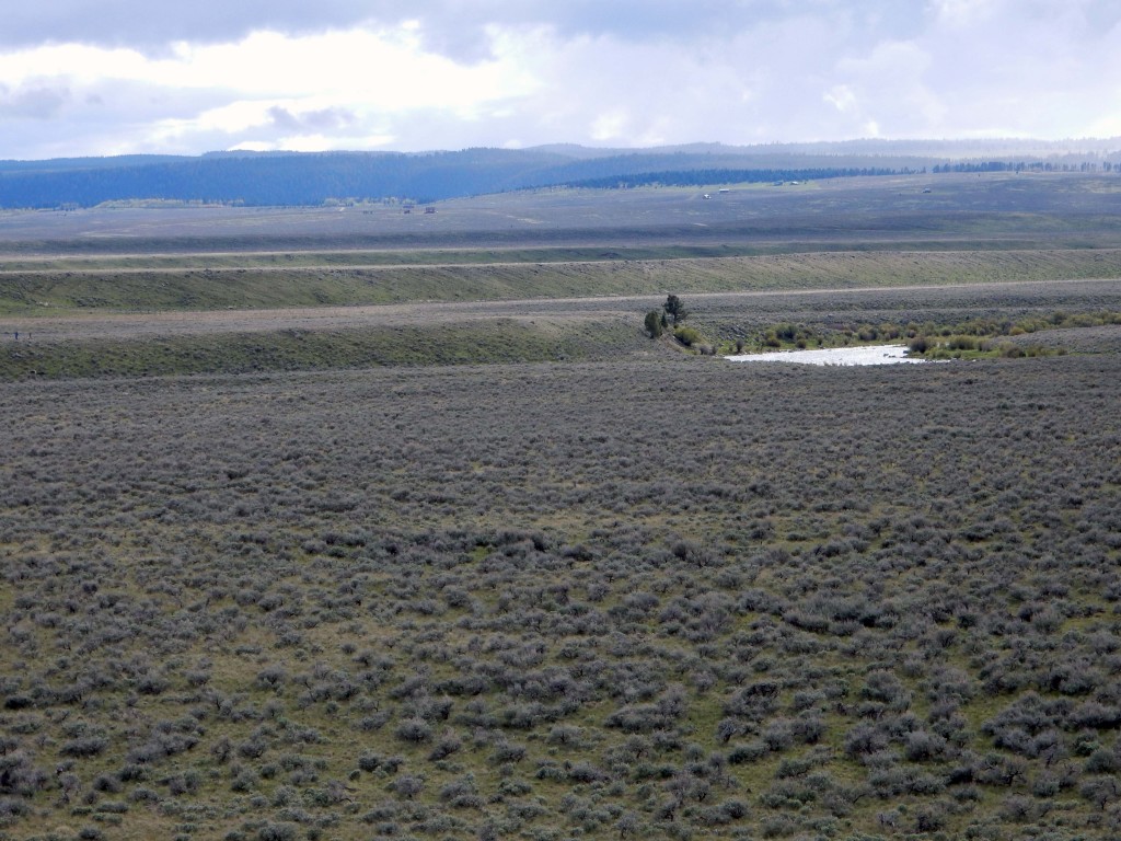 River Terraces, Madison River, MT