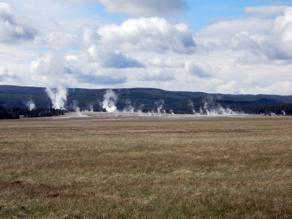 Yellowstone geyser basin