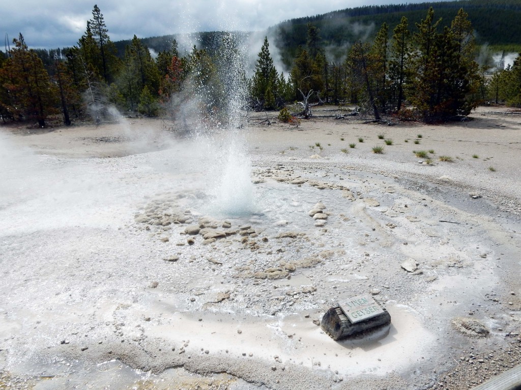 Small geyser in Norris Geyser Basin, Yellowstone N.P.