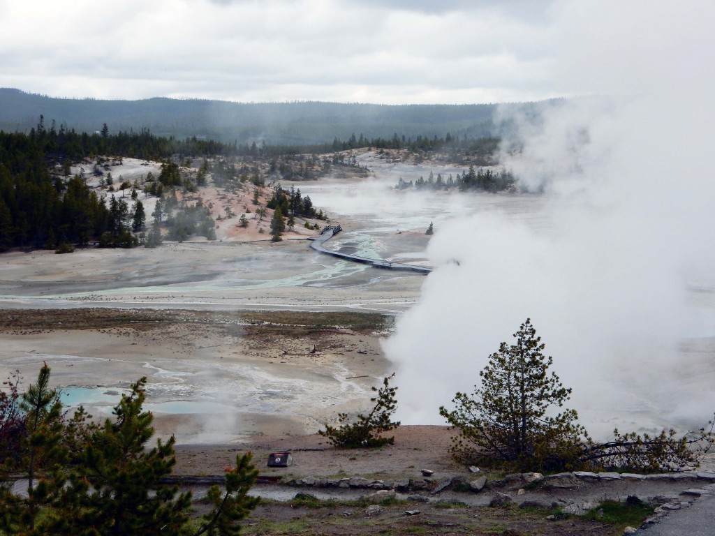 Norris Geyser Basin