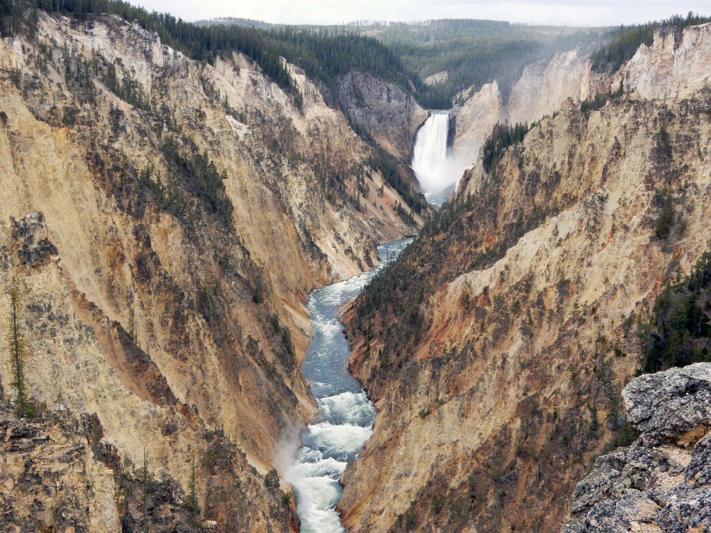 Lower Yellowstone Falls