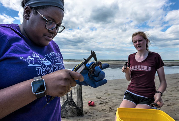 Students working a EES tool