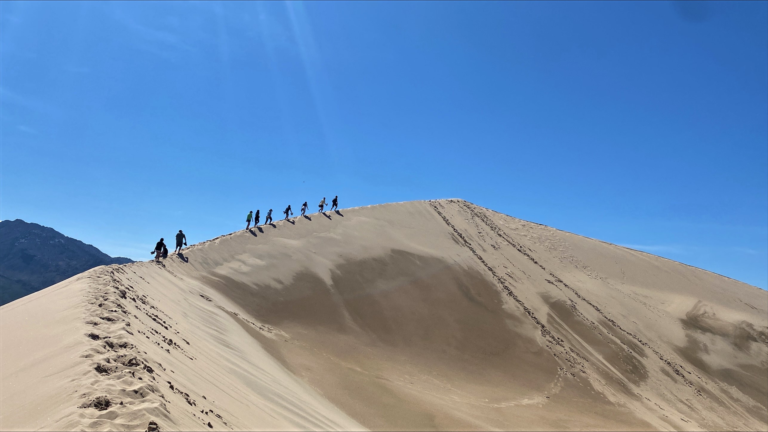 Spring 2025 Global Field Courses 