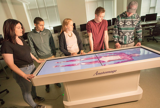 Virtual Dissection Table