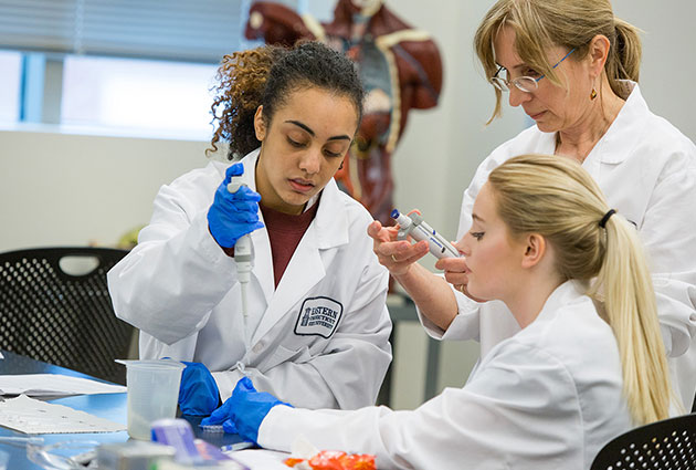 Students in Lab