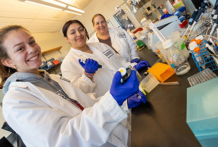 students using lab equipment