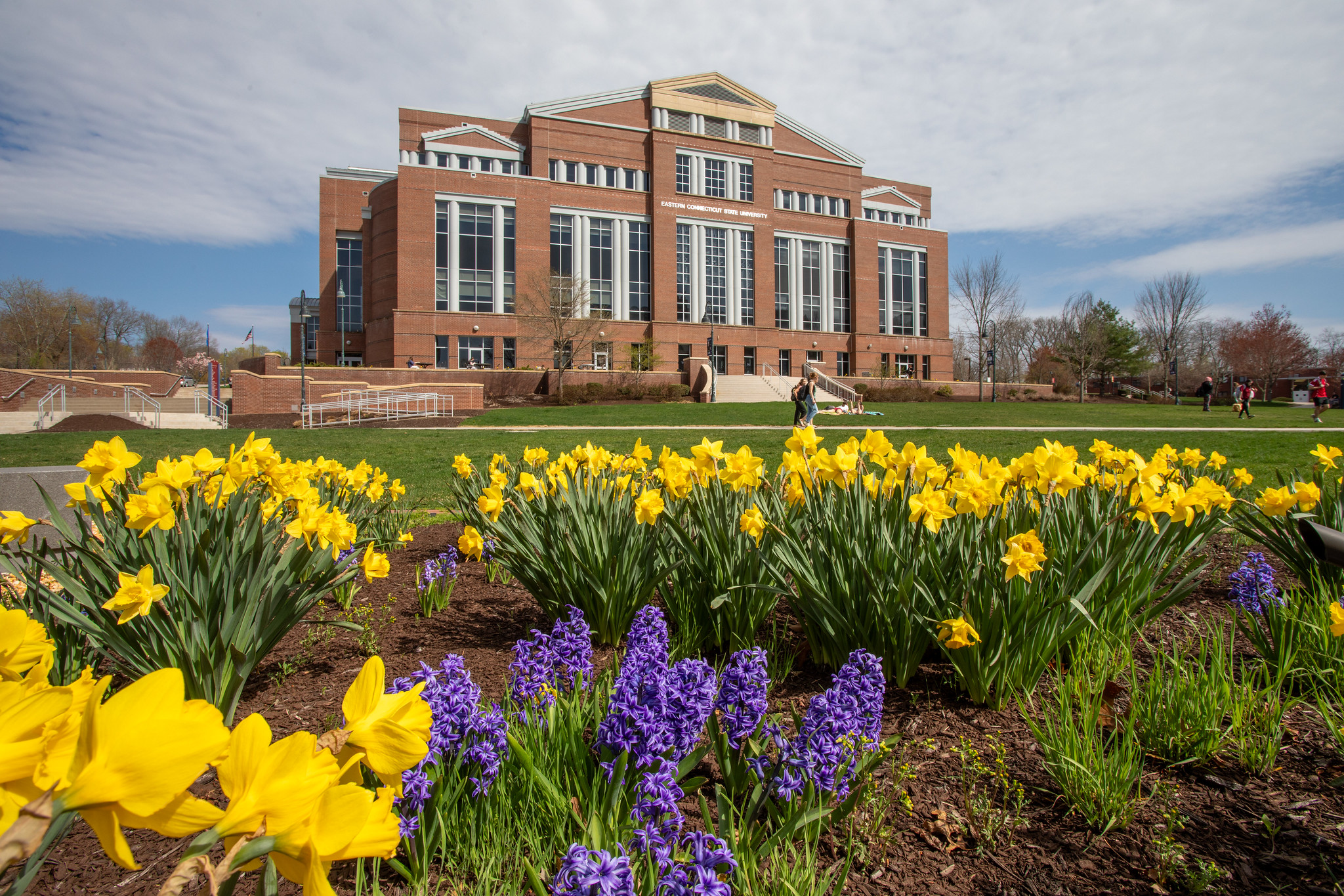 The J. Eugene Smith Library in spring, with daffodils and hyacinths in bloom