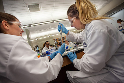 students using lab equipment