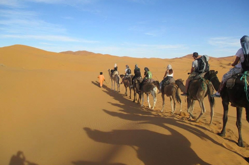 people riding camels in the desert
