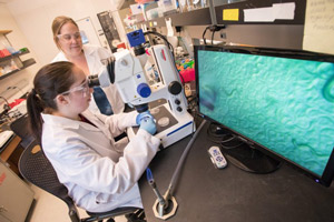 Christianne Senechal working in an Eastern lab