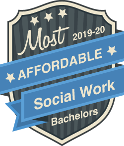 social work award badge