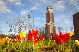 Clock tower 