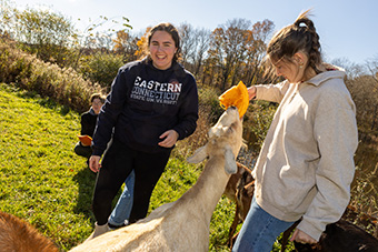 Girls with animals at farm