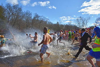 Plunge