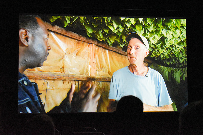 film screening